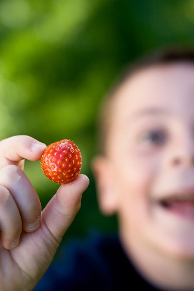 6a00d8341ea03453ef010535aabecd970c